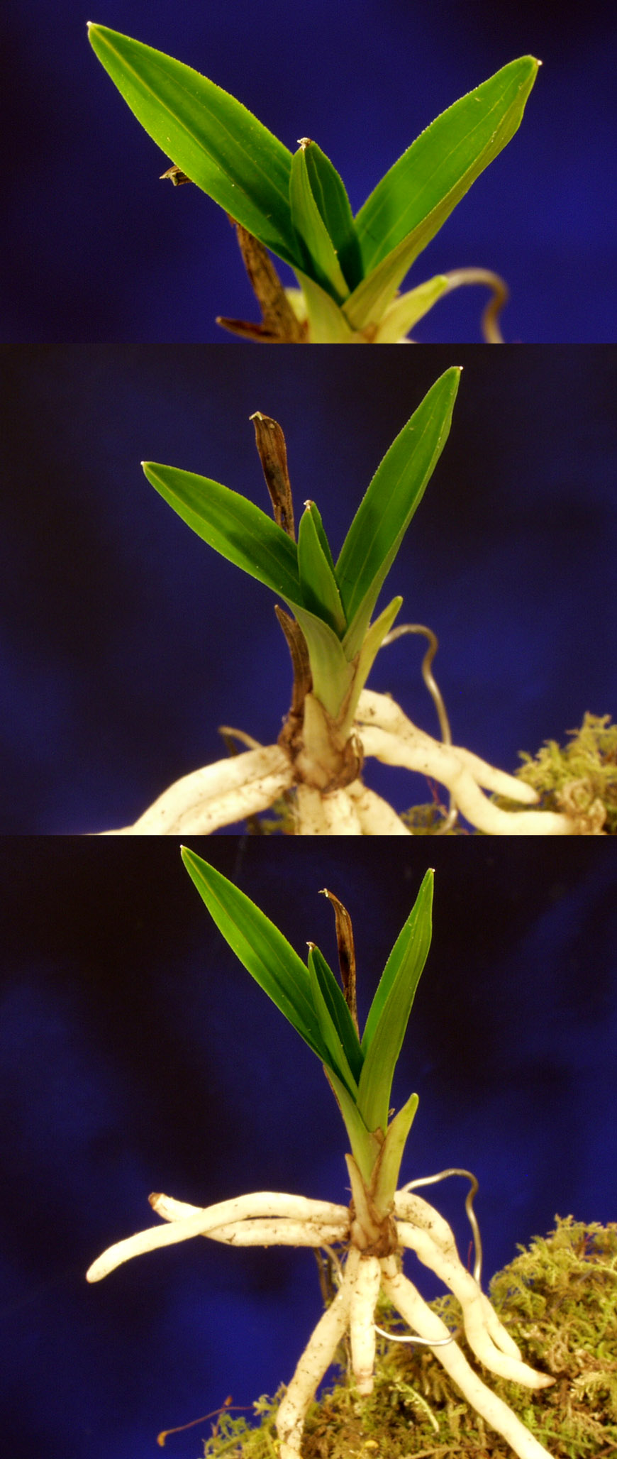 ������ ū������ �� �� �ֽ��ϴ�.