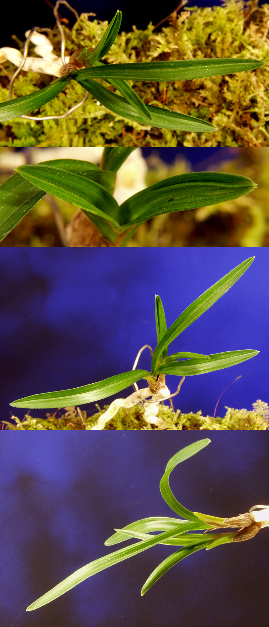 ������ ū������ �� �� �ֽ��ϴ�.