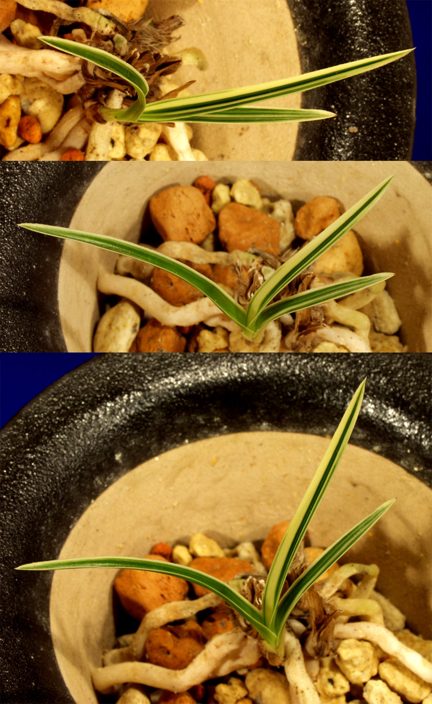 ������ ū������ �� �� �ֽ��ϴ�.