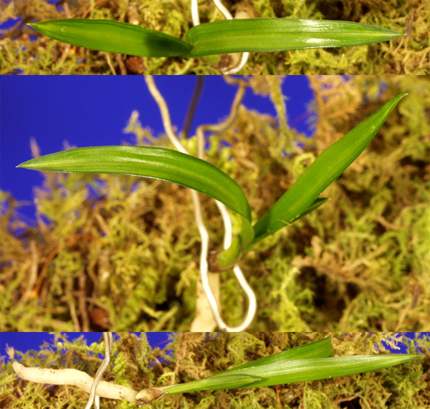 ������ ū������ �� �� �ֽ��ϴ�.