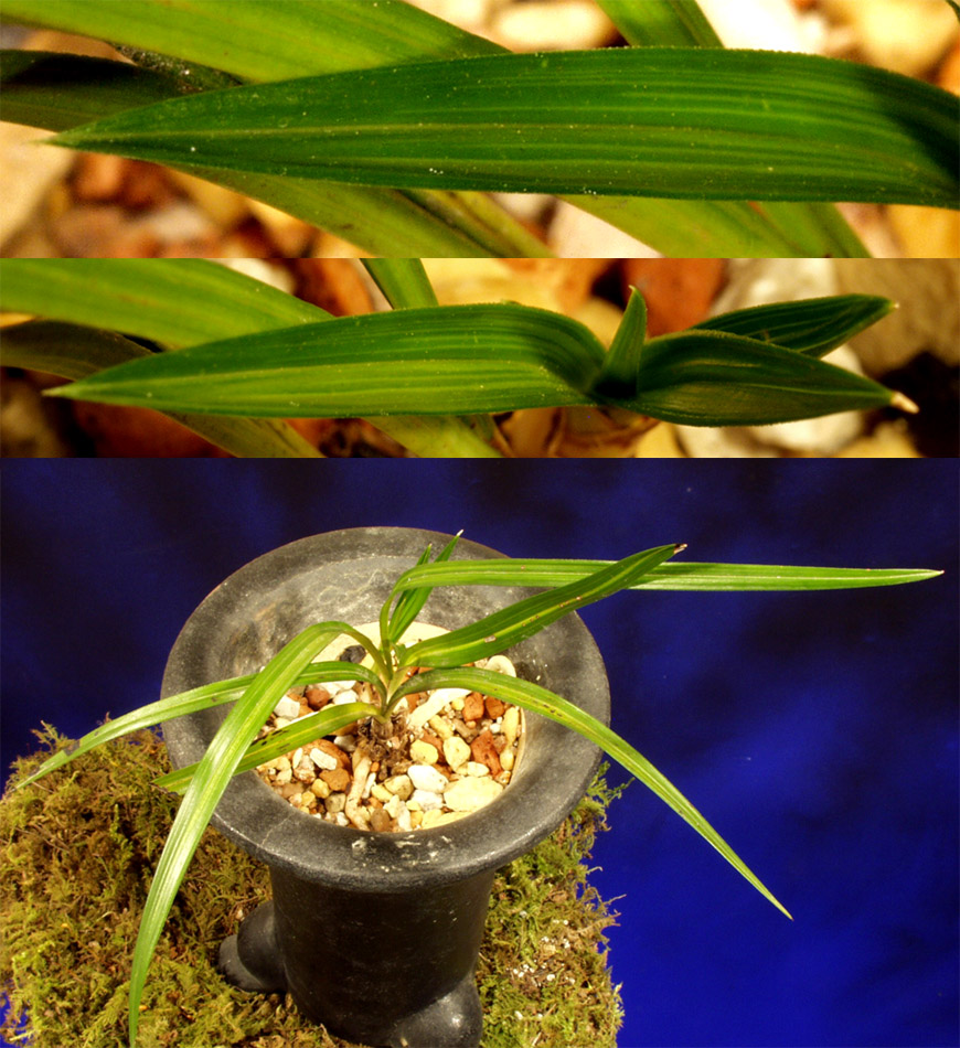 ������ ū������ �� �� �ֽ��ϴ�.