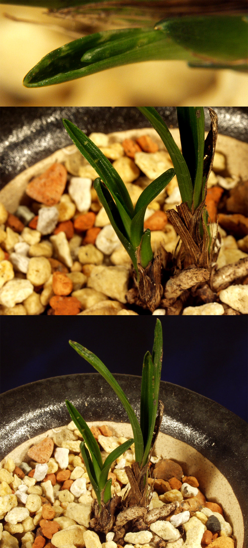 ������ ū������ �� �� �ֽ��ϴ�.