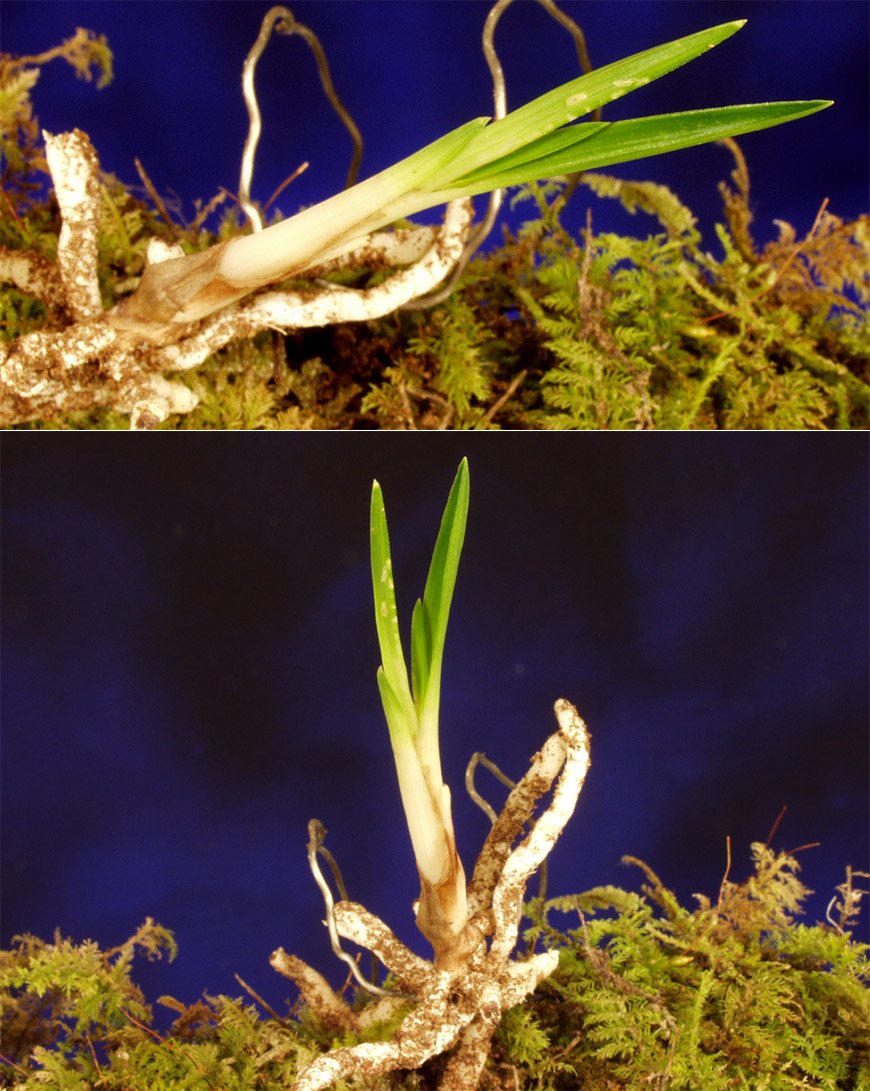 ������ ū������ �� �� �ֽ��ϴ�.