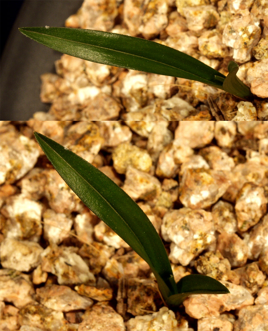 ������ ū������ �� �� �ֽ��ϴ�.