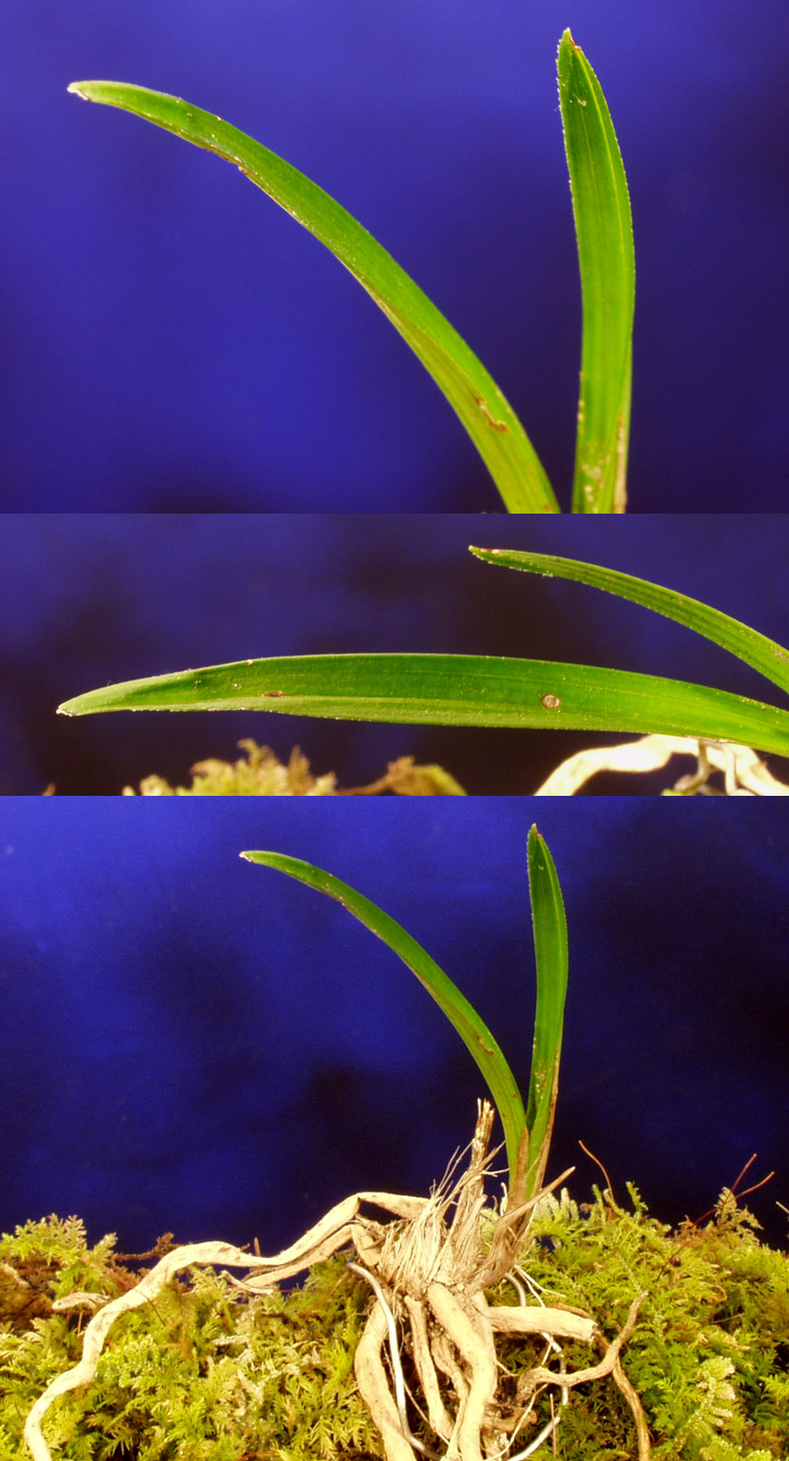 ������ ū������ �� �� �ֽ��ϴ�.