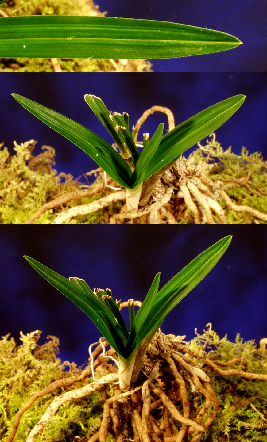 ������ ū������ �� �� �ֽ��ϴ�.