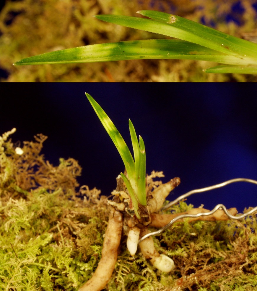 ������ ū������ �� �� �ֽ��ϴ�.