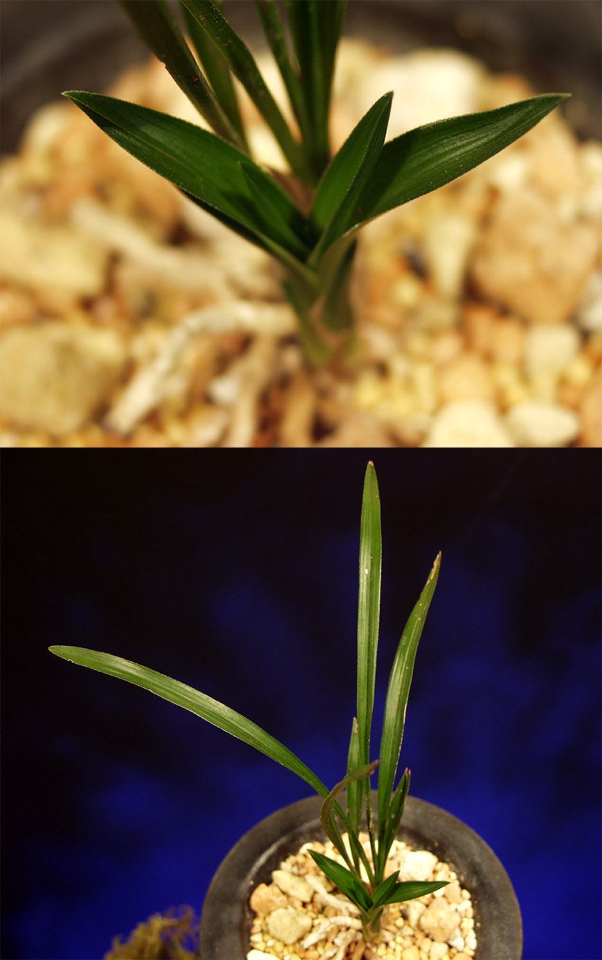 ������ ū������ �� �� �ֽ��ϴ�.