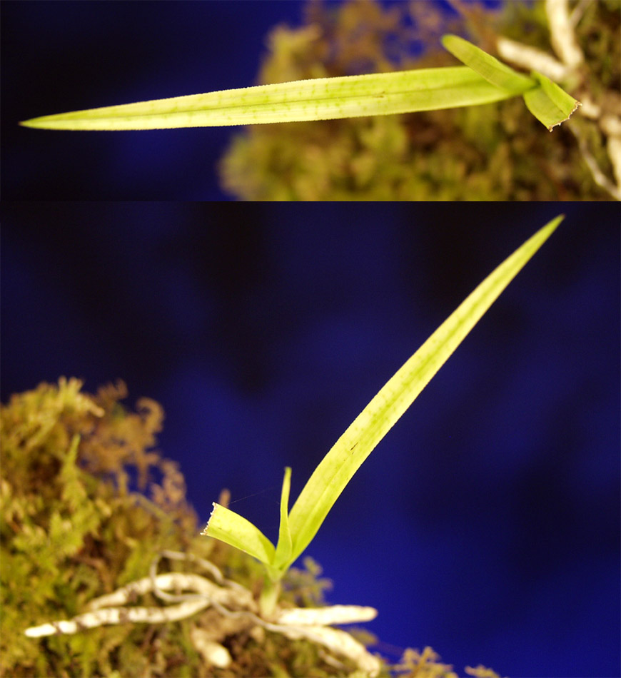 ������ ū������ �� �� �ֽ��ϴ�.