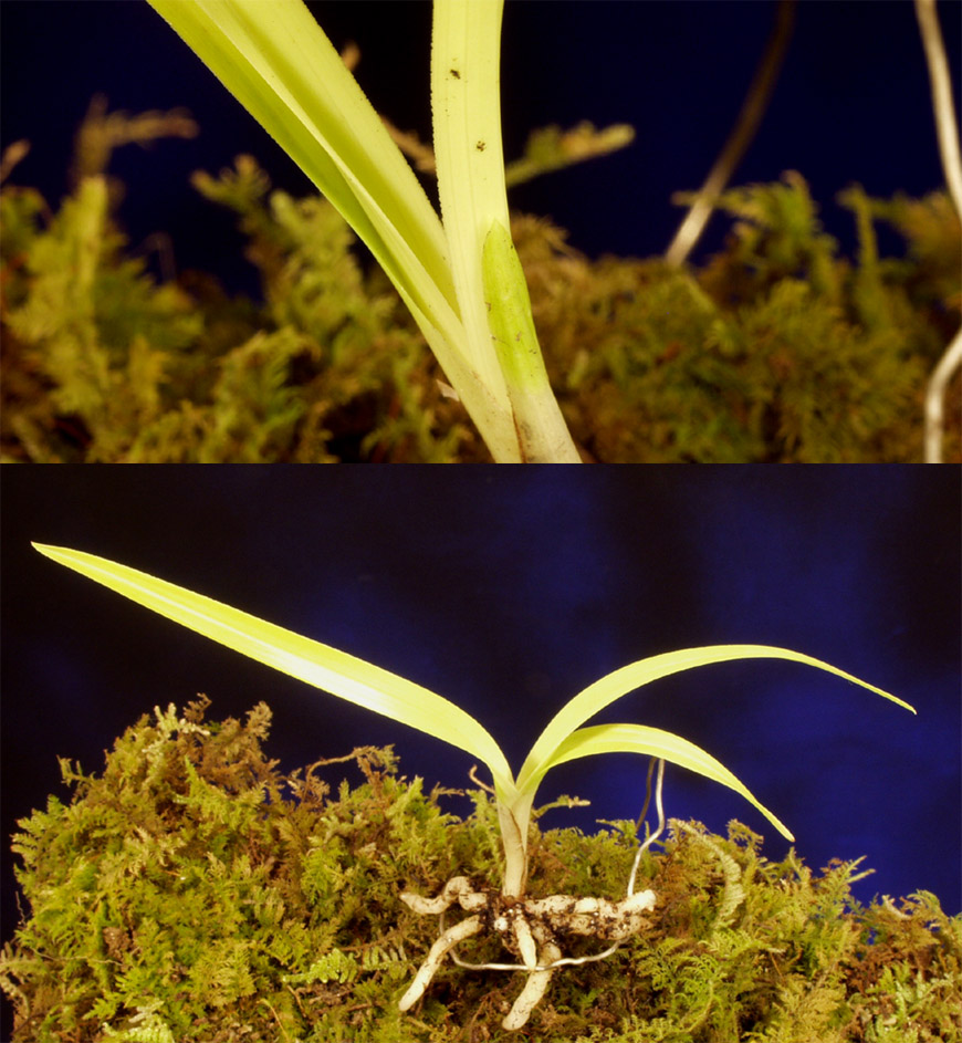 ������ ū������ �� �� �ֽ��ϴ�.