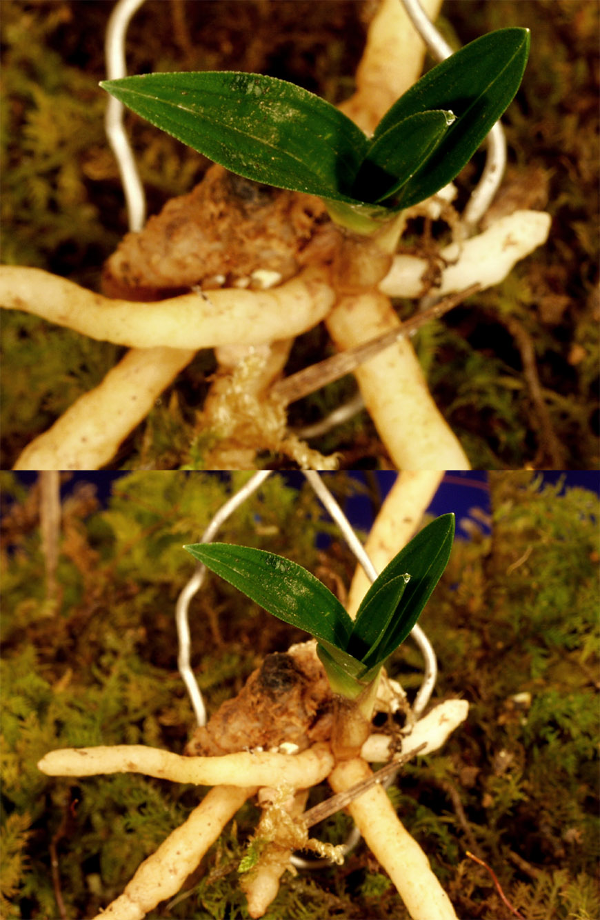 ������ ū������ �� �� �ֽ��ϴ�.