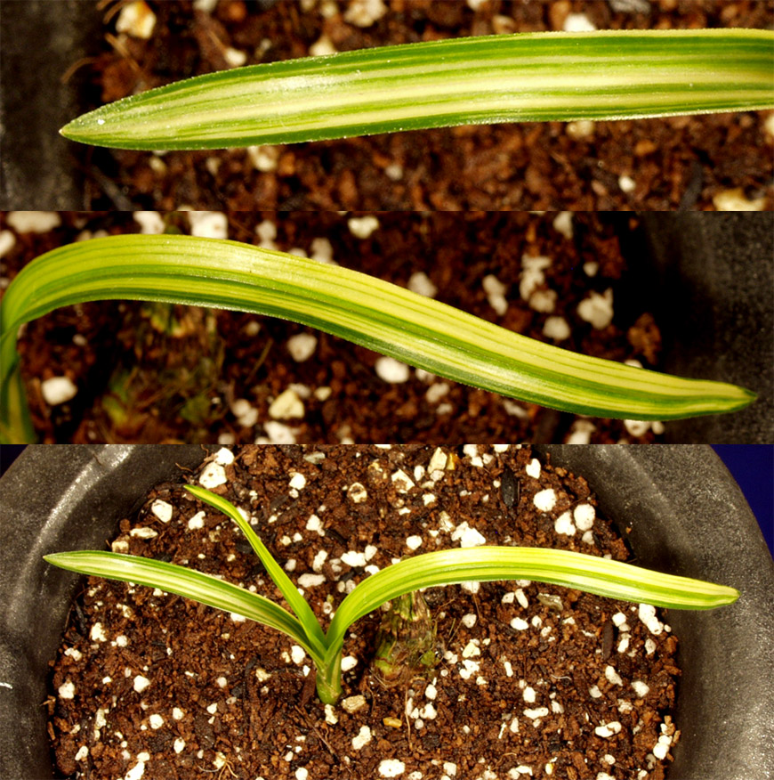 ������ ū������ �� �� �ֽ��ϴ�.