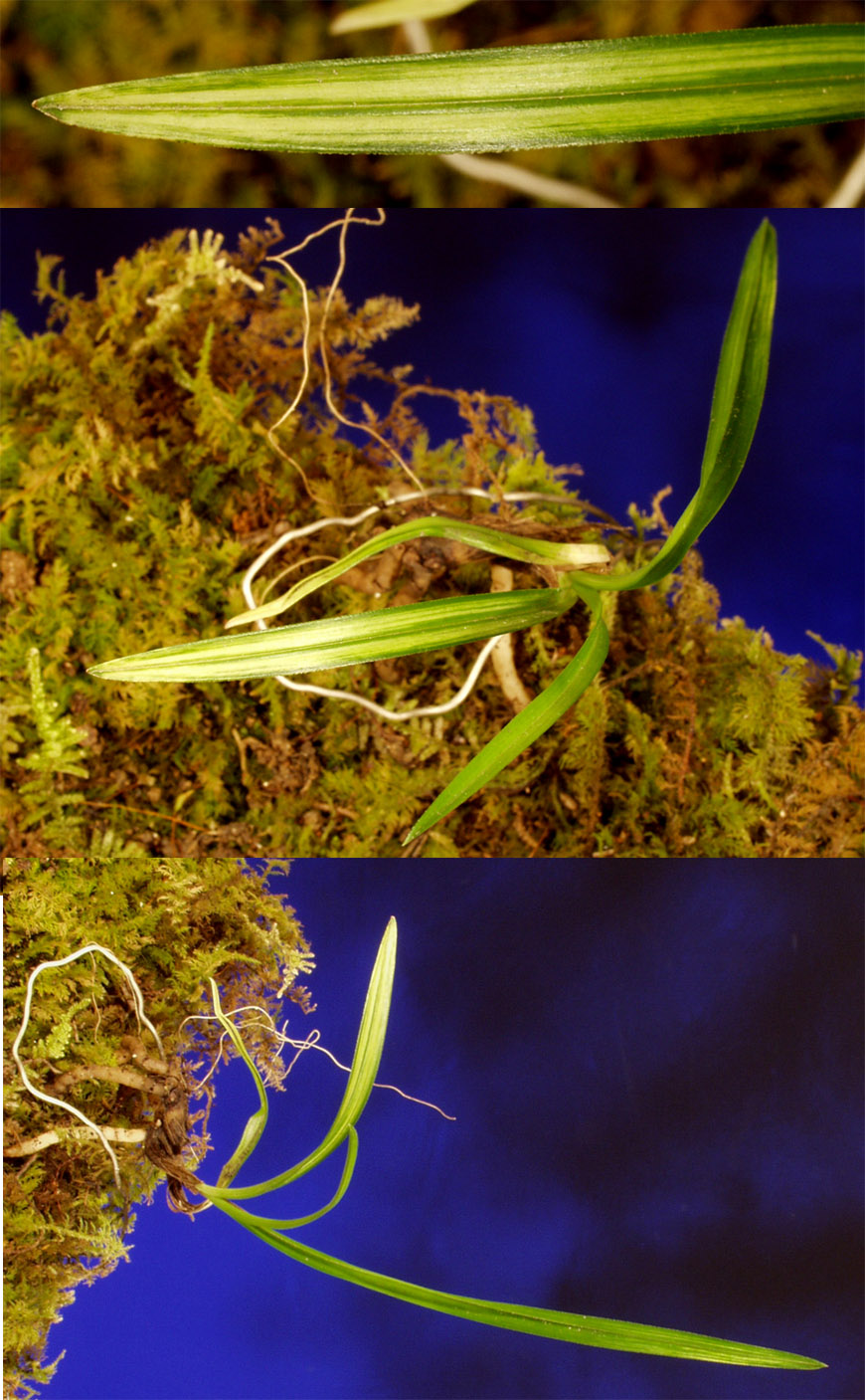 ������ ū������ �� �� �ֽ��ϴ�.