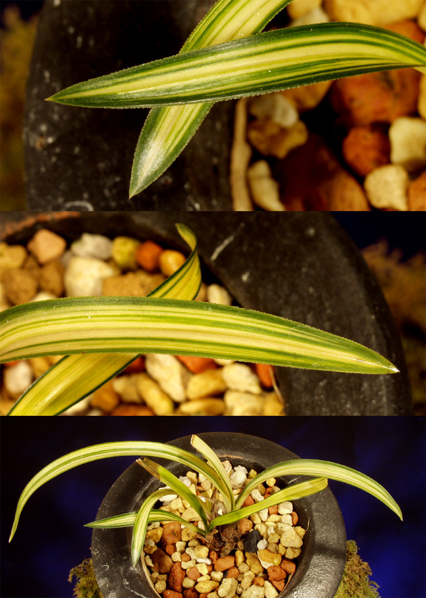 ������ ū������ �� �� �ֽ��ϴ�.