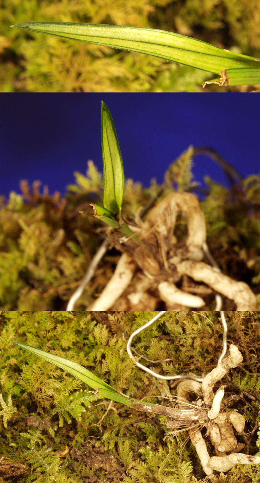 ������ ū������ �� �� �ֽ��ϴ�.