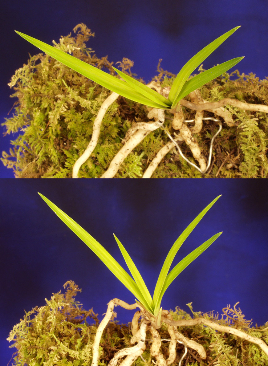 ������ ū������ �� �� �ֽ��ϴ�.