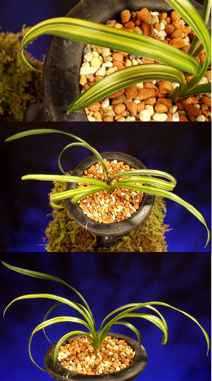 ������ ū������ �� �� �ֽ��ϴ�.