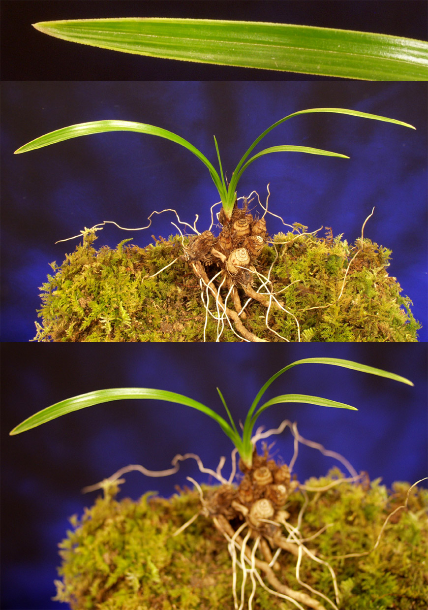 ������ ū������ �� �� �ֽ��ϴ�.