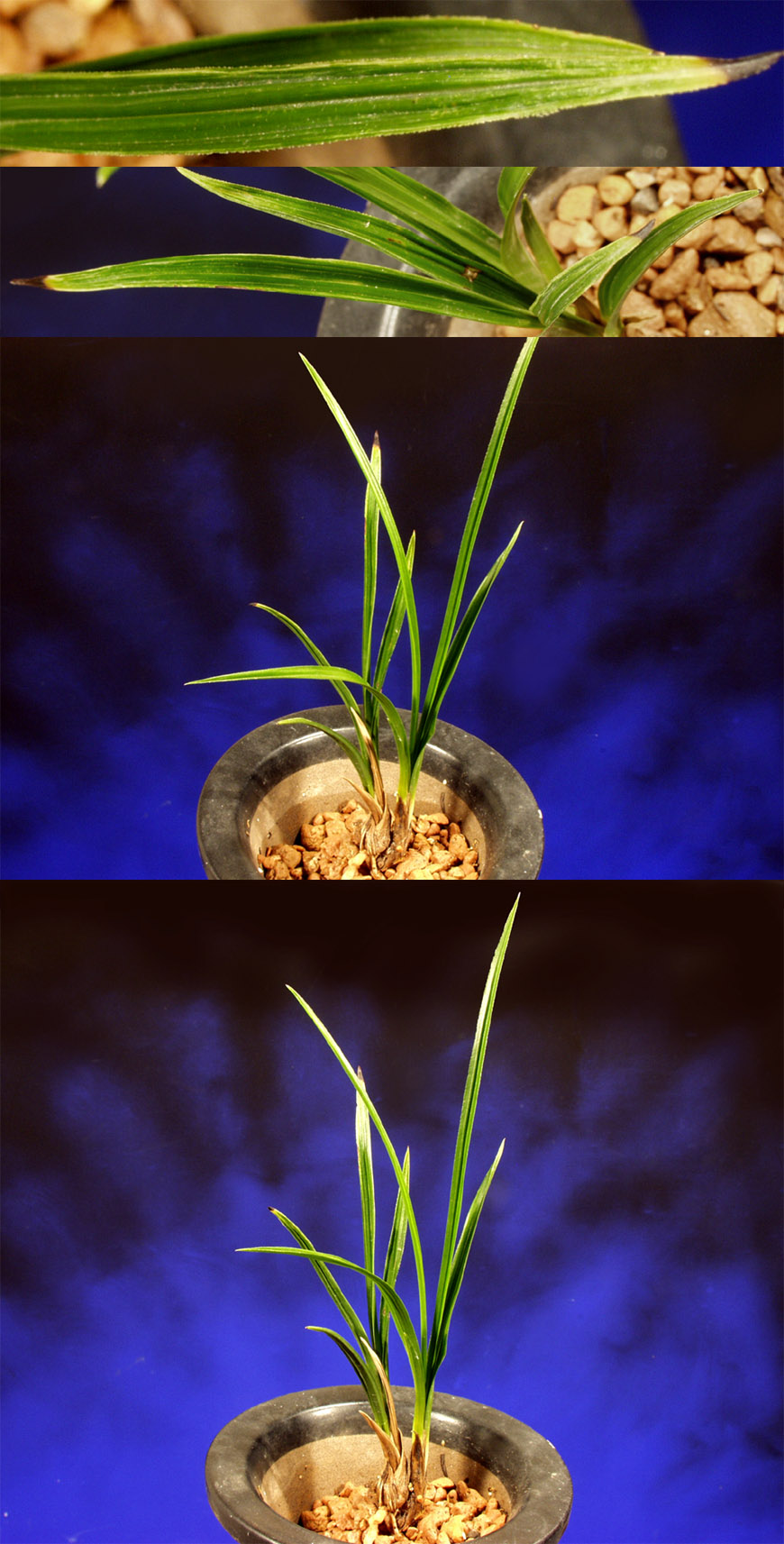 ������ ū������ �� �� �ֽ��ϴ�.