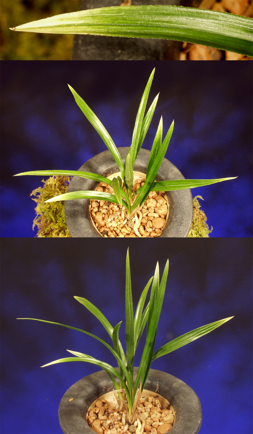 ������ ū������ �� �� �ֽ��ϴ�.