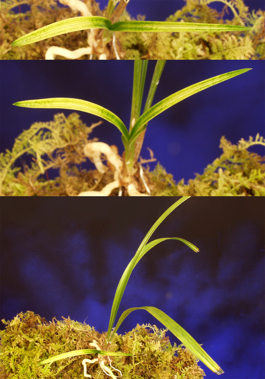 ������ ū������ �� �� �ֽ��ϴ�.