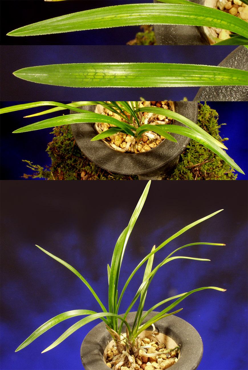 ������ ū������ �� �� �ֽ��ϴ�.