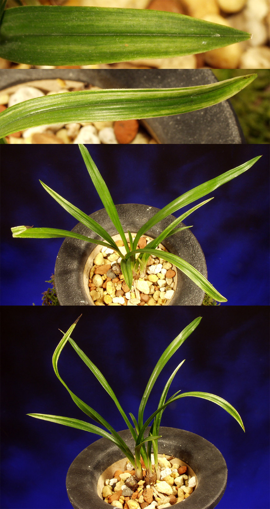 ������ ū������ �� �� �ֽ��ϴ�.