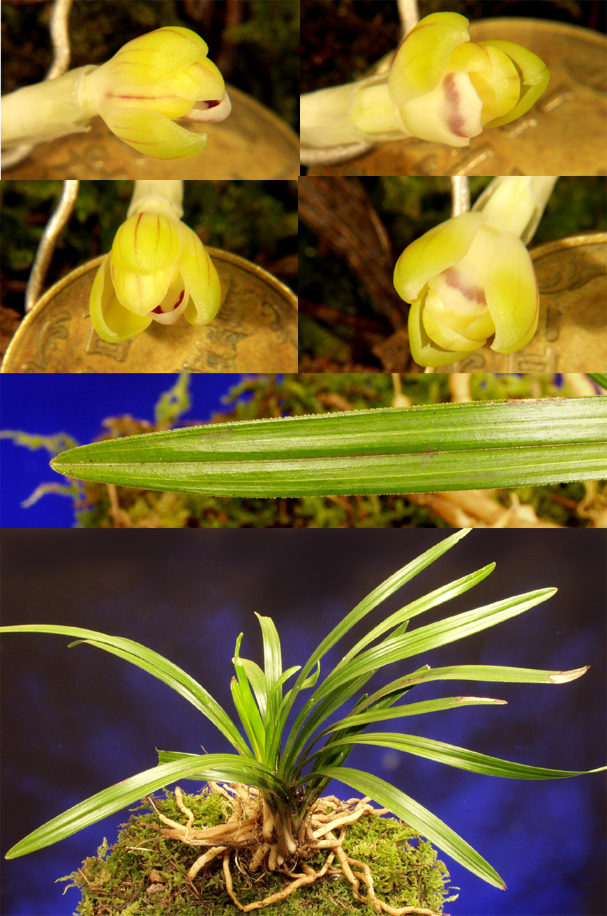 ������ ū������ �� �� �ֽ��ϴ�.