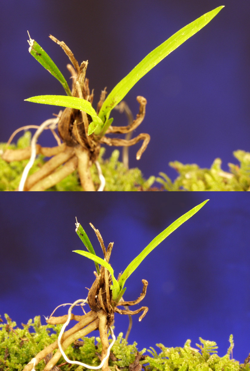 ������ ū������ �� �� �ֽ��ϴ�.