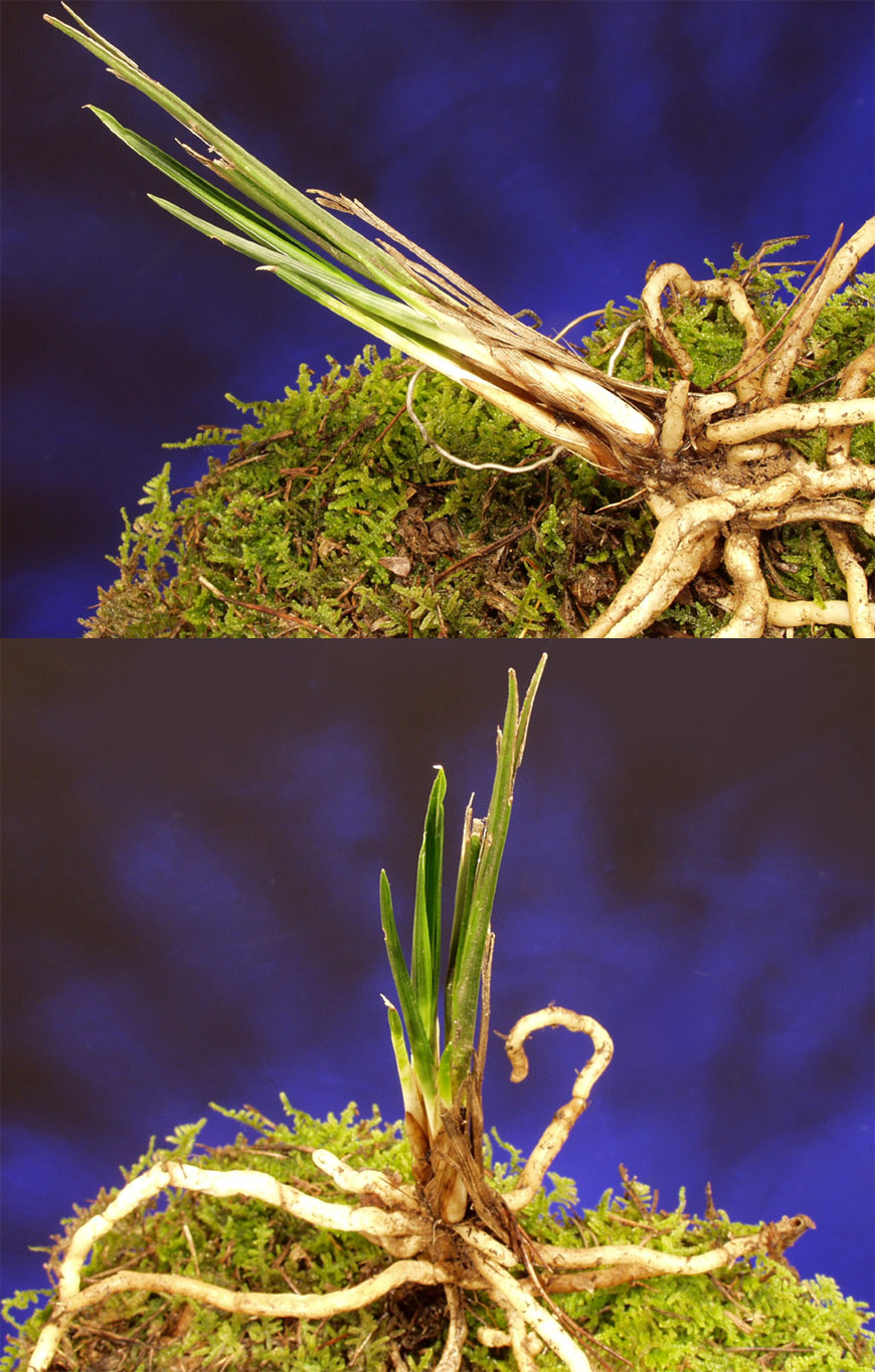 ������ ū������ �� �� �ֽ��ϴ�.