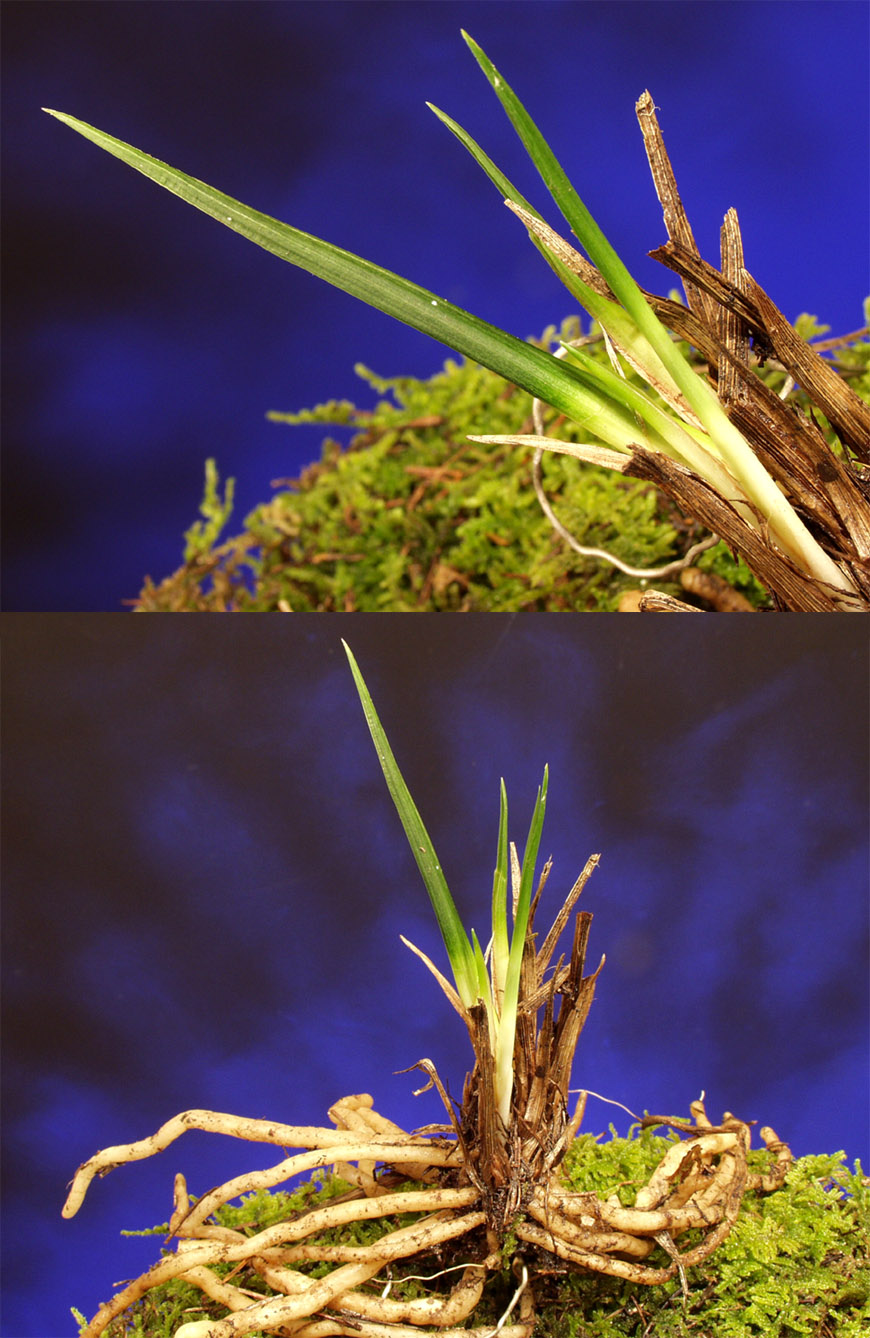 ������ ū������ �� �� �ֽ��ϴ�.