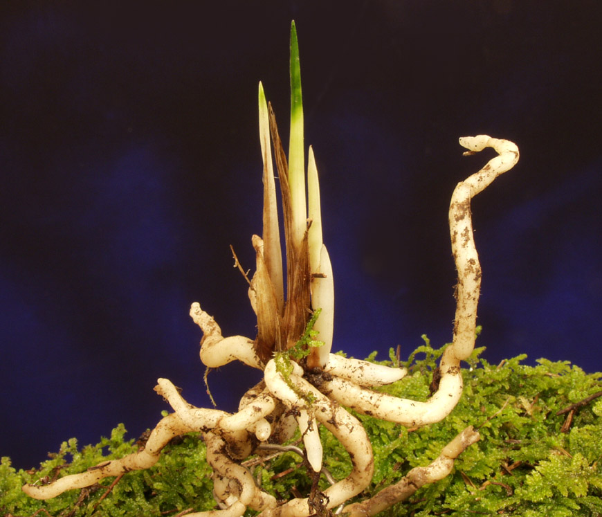 ������ ū������ �� �� �ֽ��ϴ�.