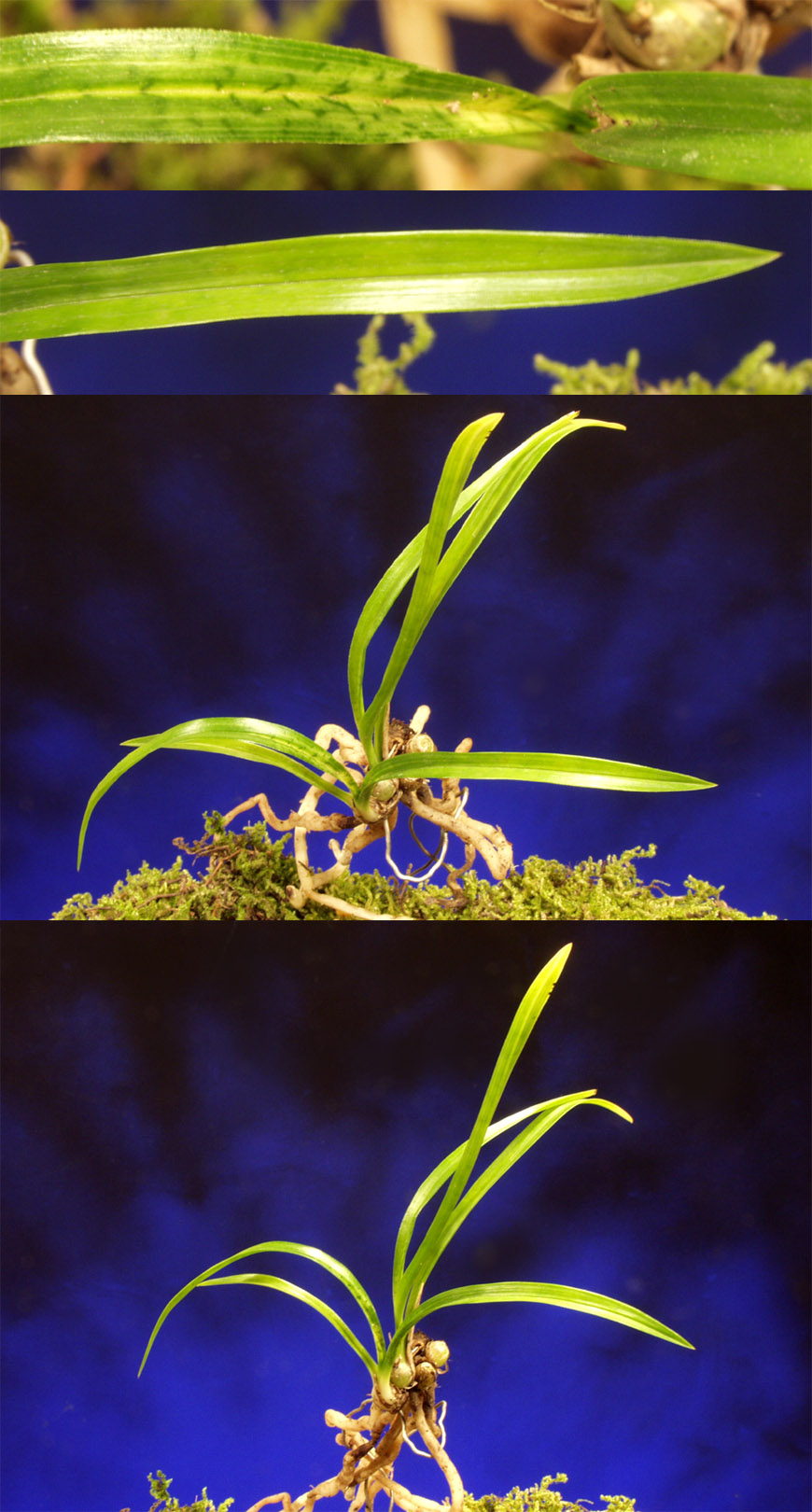 ������ ū������ �� �� �ֽ��ϴ�.