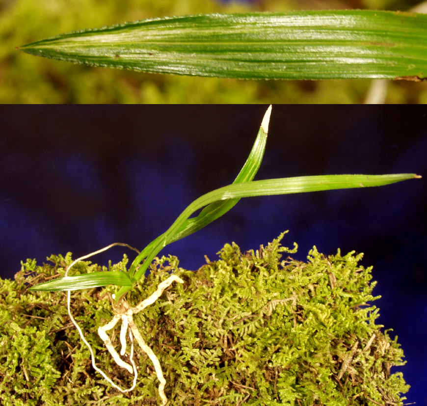 ������ ū������ �� �� �ֽ��ϴ�.