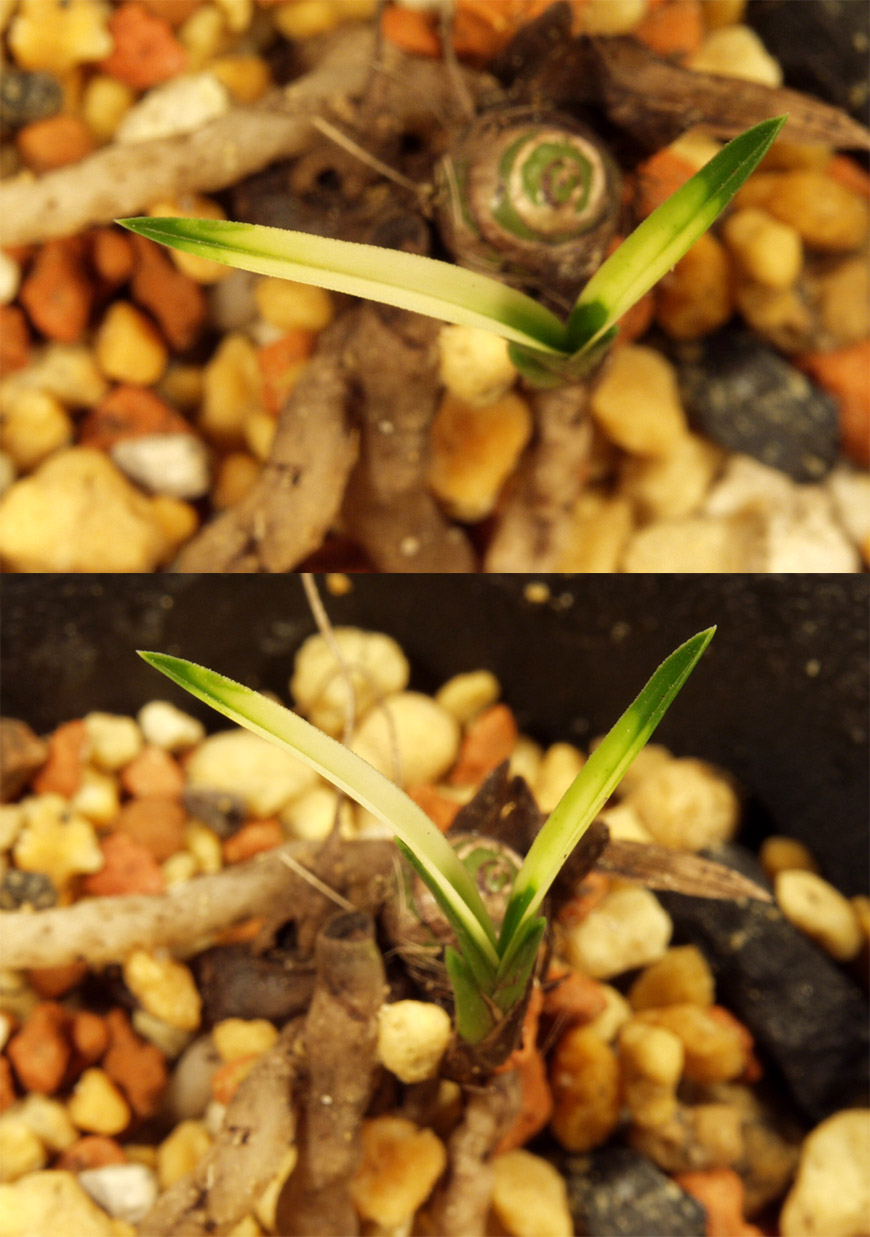 ������ ū������ �� �� �ֽ��ϴ�.