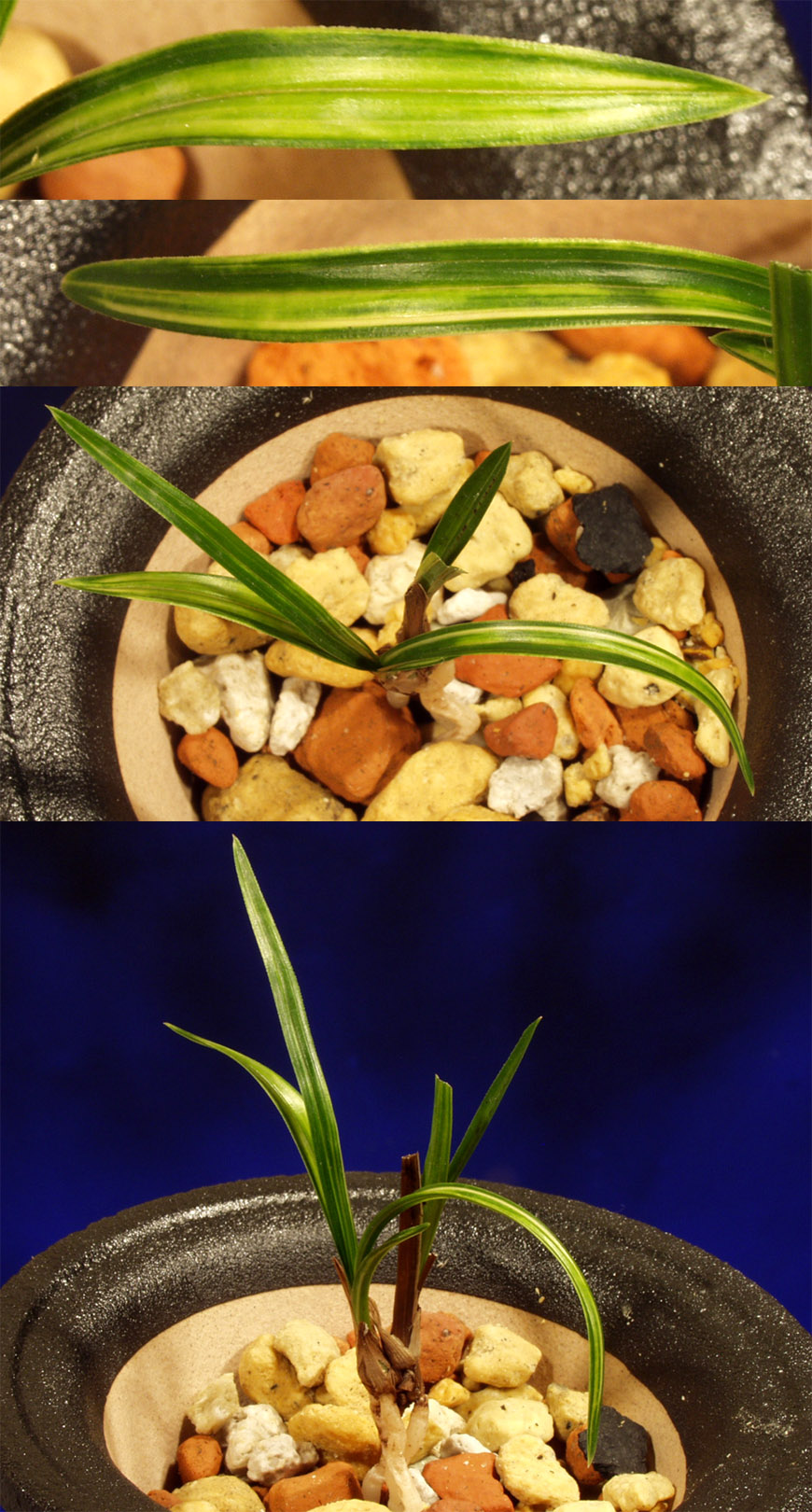 ������ ū������ �� �� �ֽ��ϴ�.