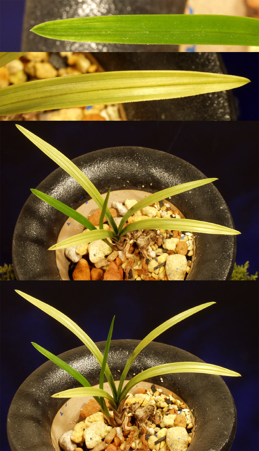 ������ ū������ �� �� �ֽ��ϴ�.