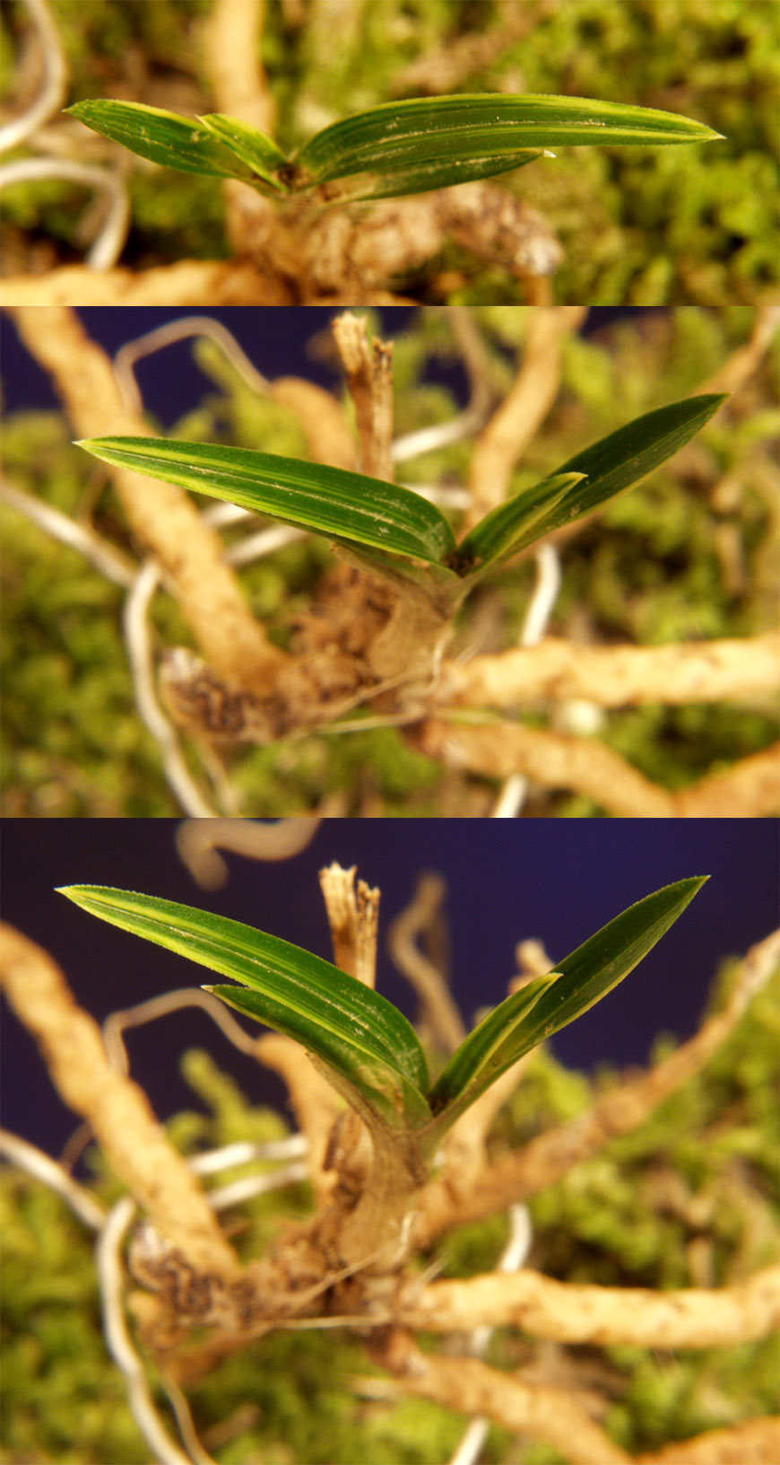 ������ ū������ �� �� �ֽ��ϴ�.