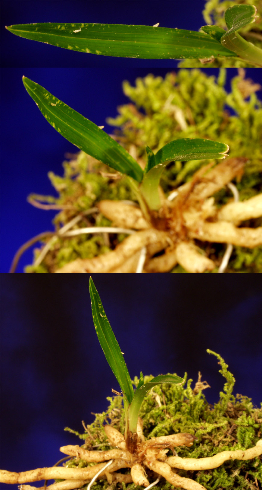 ������ ū������ �� �� �ֽ��ϴ�.