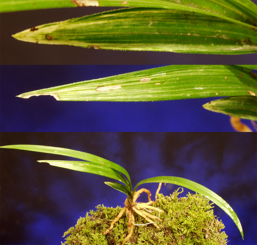 ������ ū������ �� �� �ֽ��ϴ�.