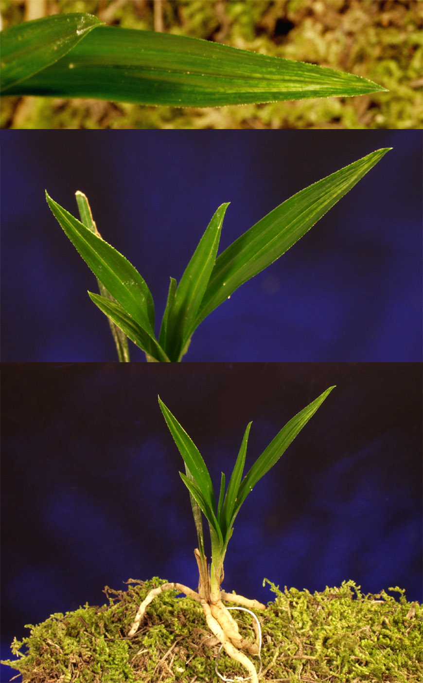 ������ ū������ �� �� �ֽ��ϴ�.