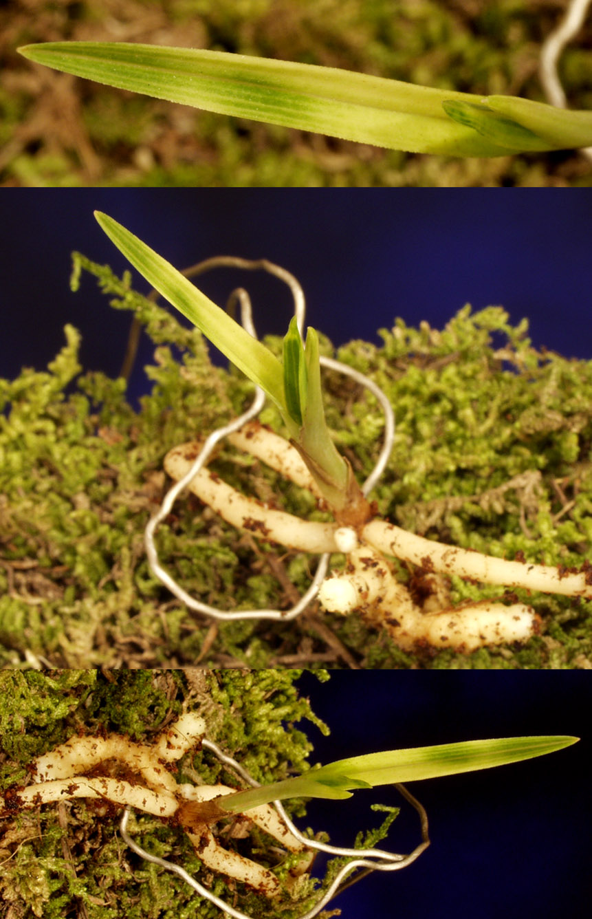 ������ ū������ �� �� �ֽ��ϴ�.