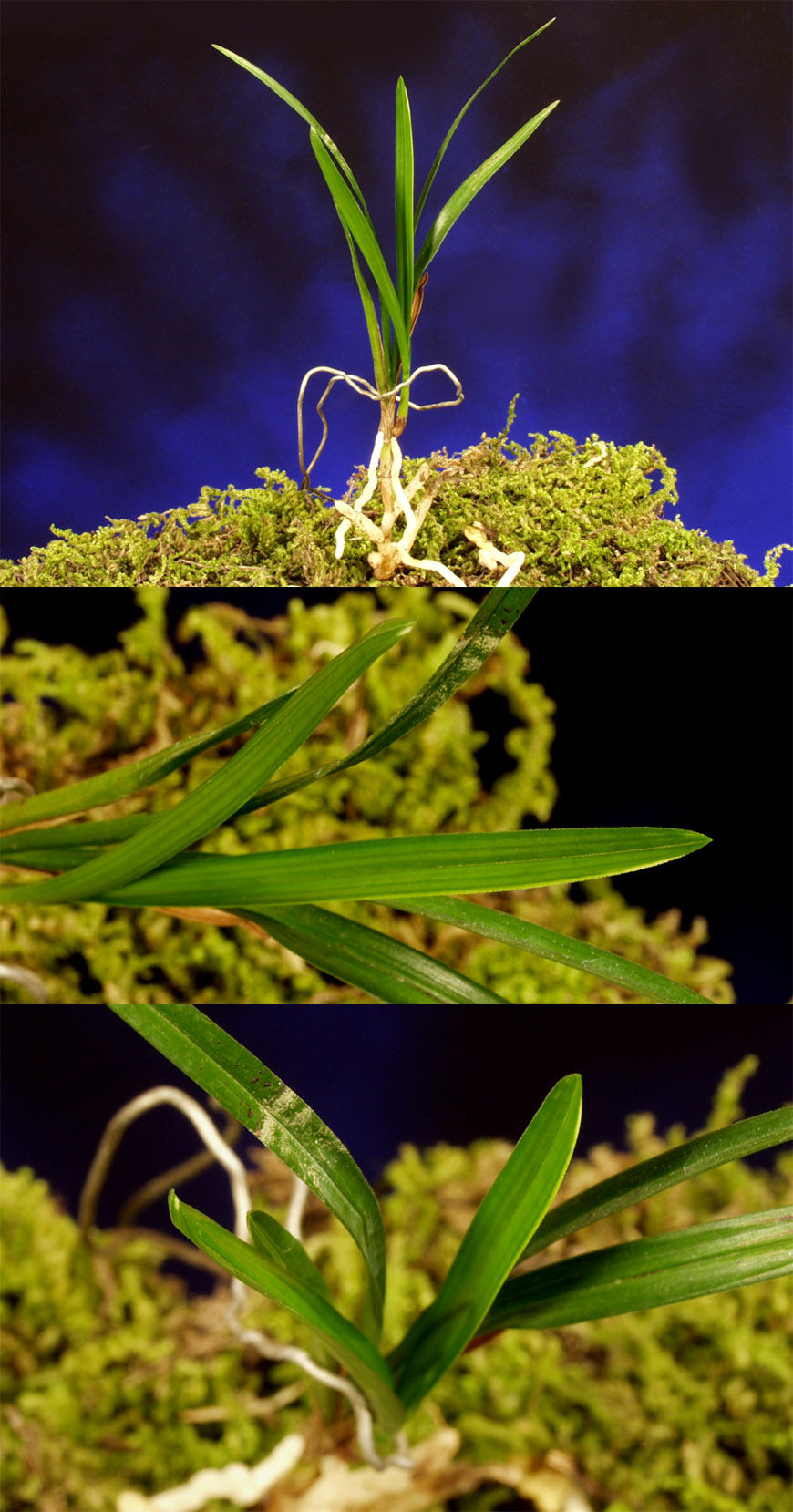 ������ ū������ �� �� �ֽ��ϴ�.