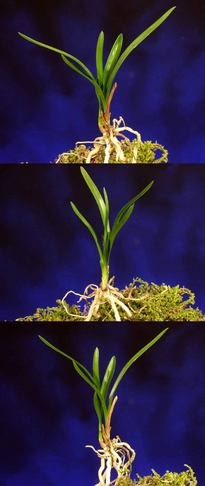 ������ ū������ �� �� �ֽ��ϴ�.