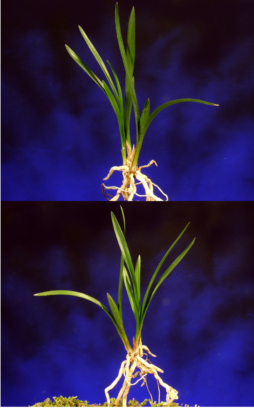 ������ ū������ �� �� �ֽ��ϴ�.