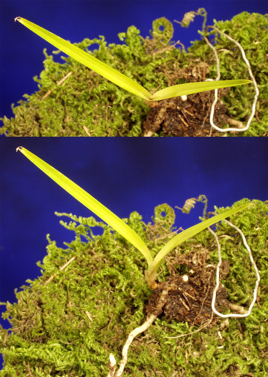 ������ ū������ �� �� �ֽ��ϴ�.