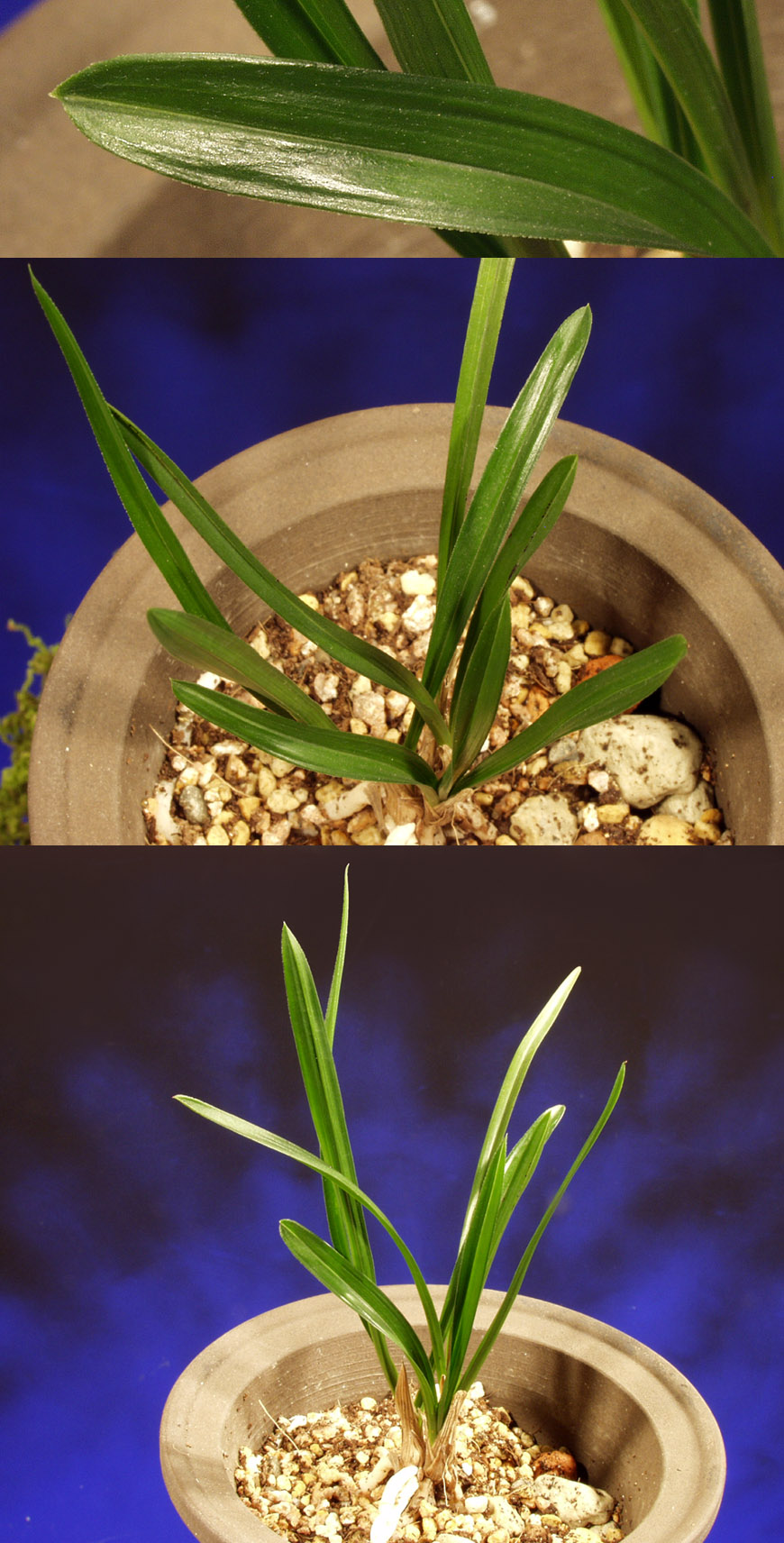 ������ ū������ �� �� �ֽ��ϴ�.