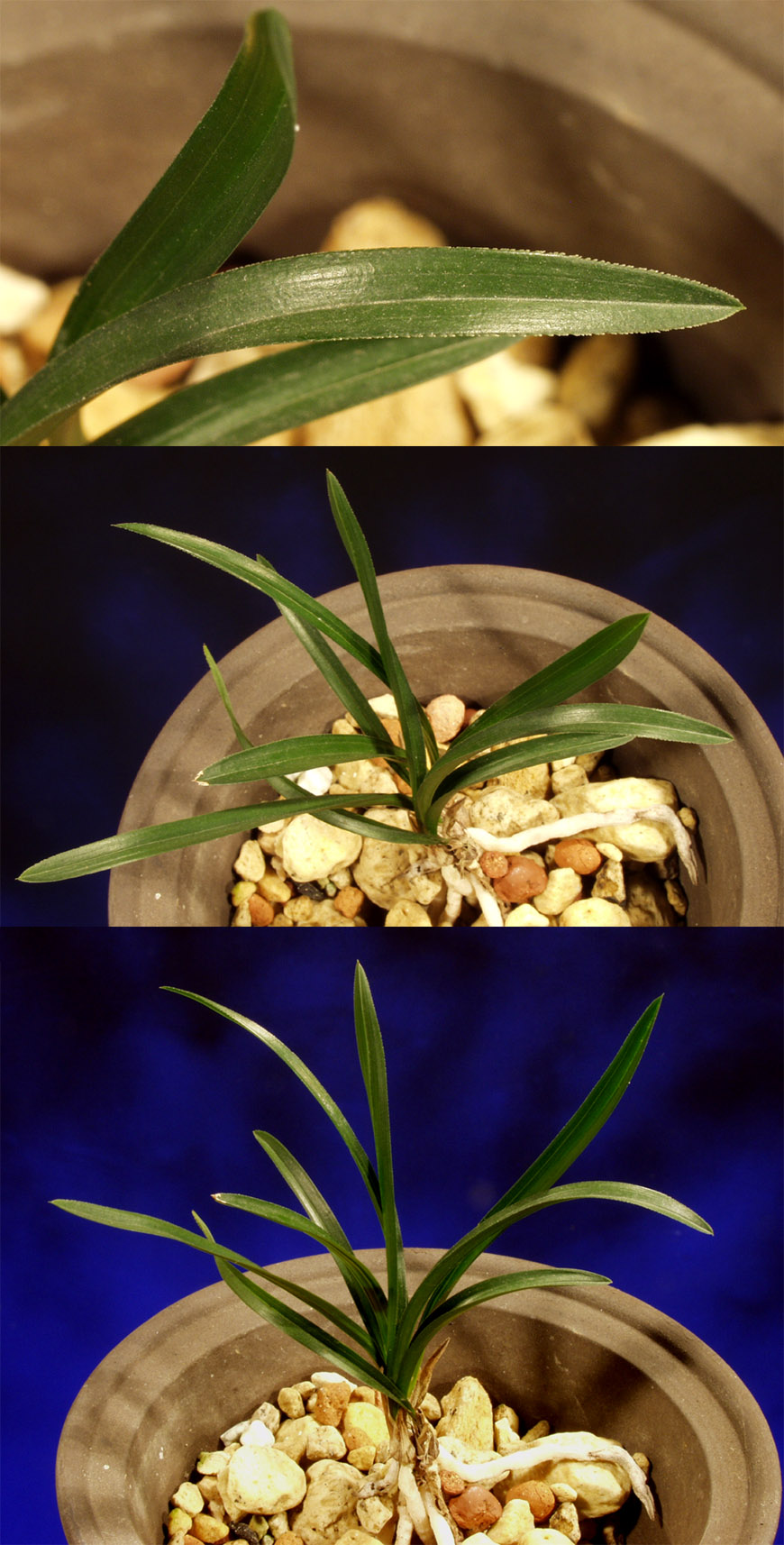 ������ ū������ �� �� �ֽ��ϴ�.