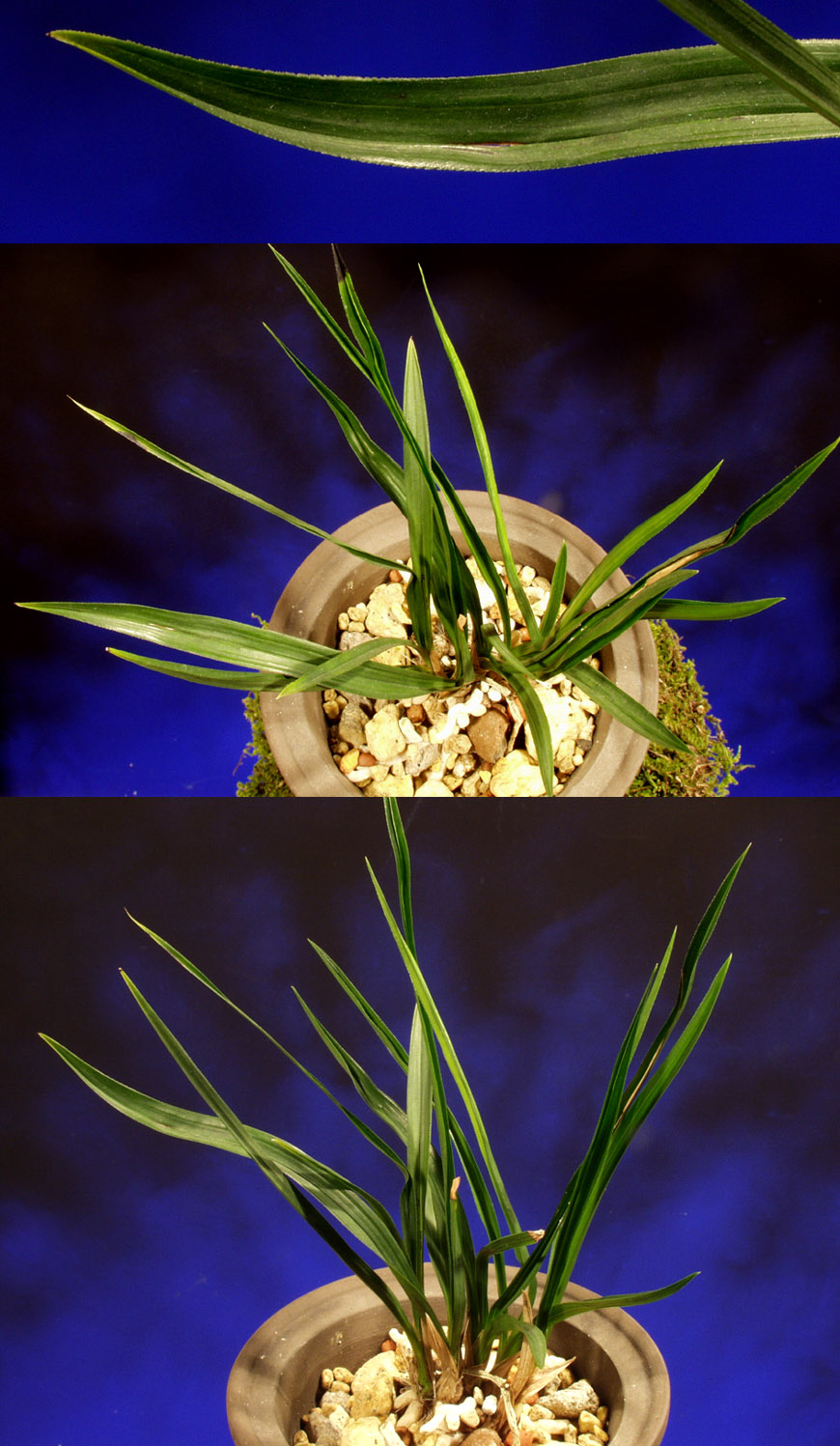 ������ ū������ �� �� �ֽ��ϴ�.