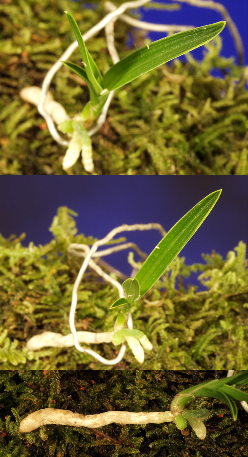 ������ ū������ �� �� �ֽ��ϴ�.